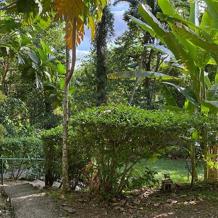 Colina Secreta - Glamping And Villas Puerto Viejo de Talamanca Buitenkant foto