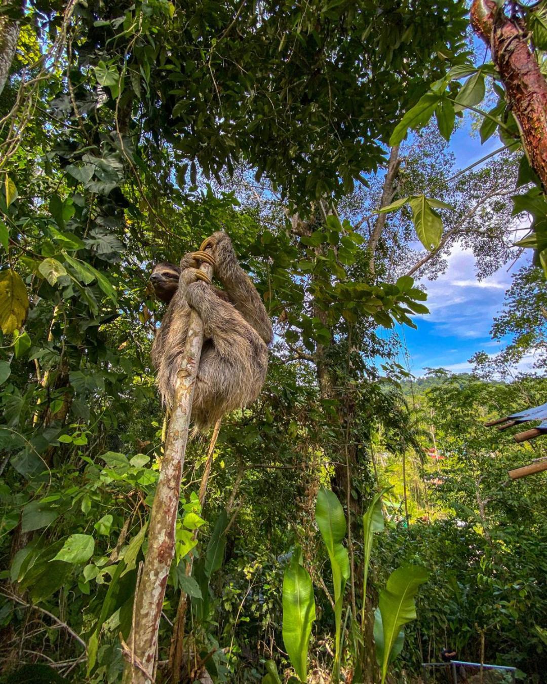 Colina Secreta - Glamping And Villas Puerto Viejo de Talamanca Buitenkant foto