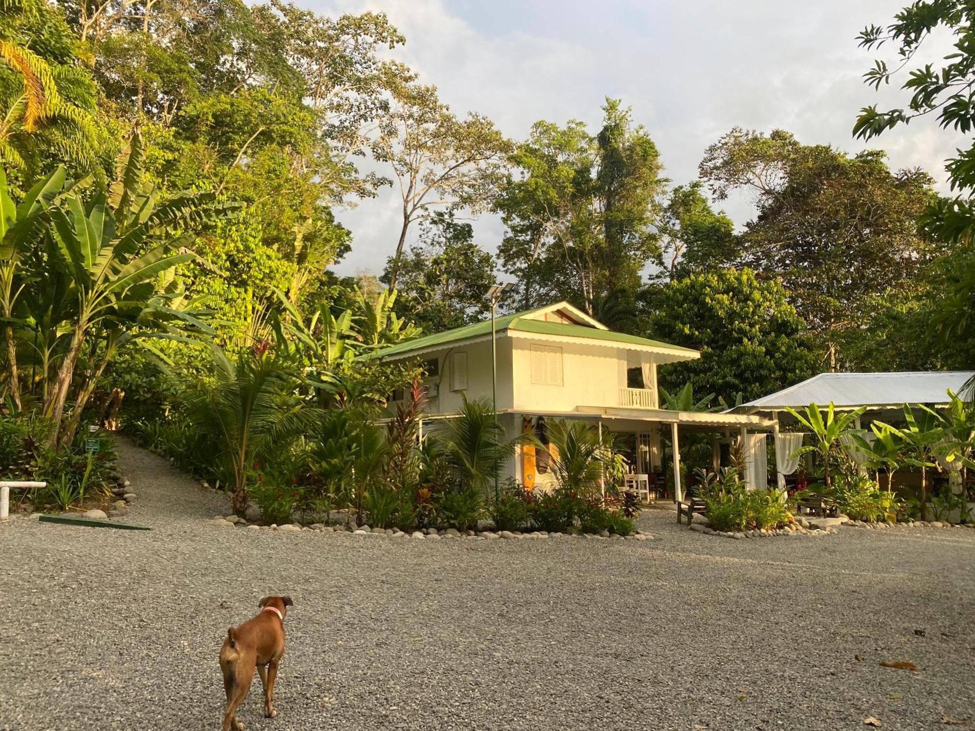 Colina Secreta - Glamping And Villas Puerto Viejo de Talamanca Buitenkant foto