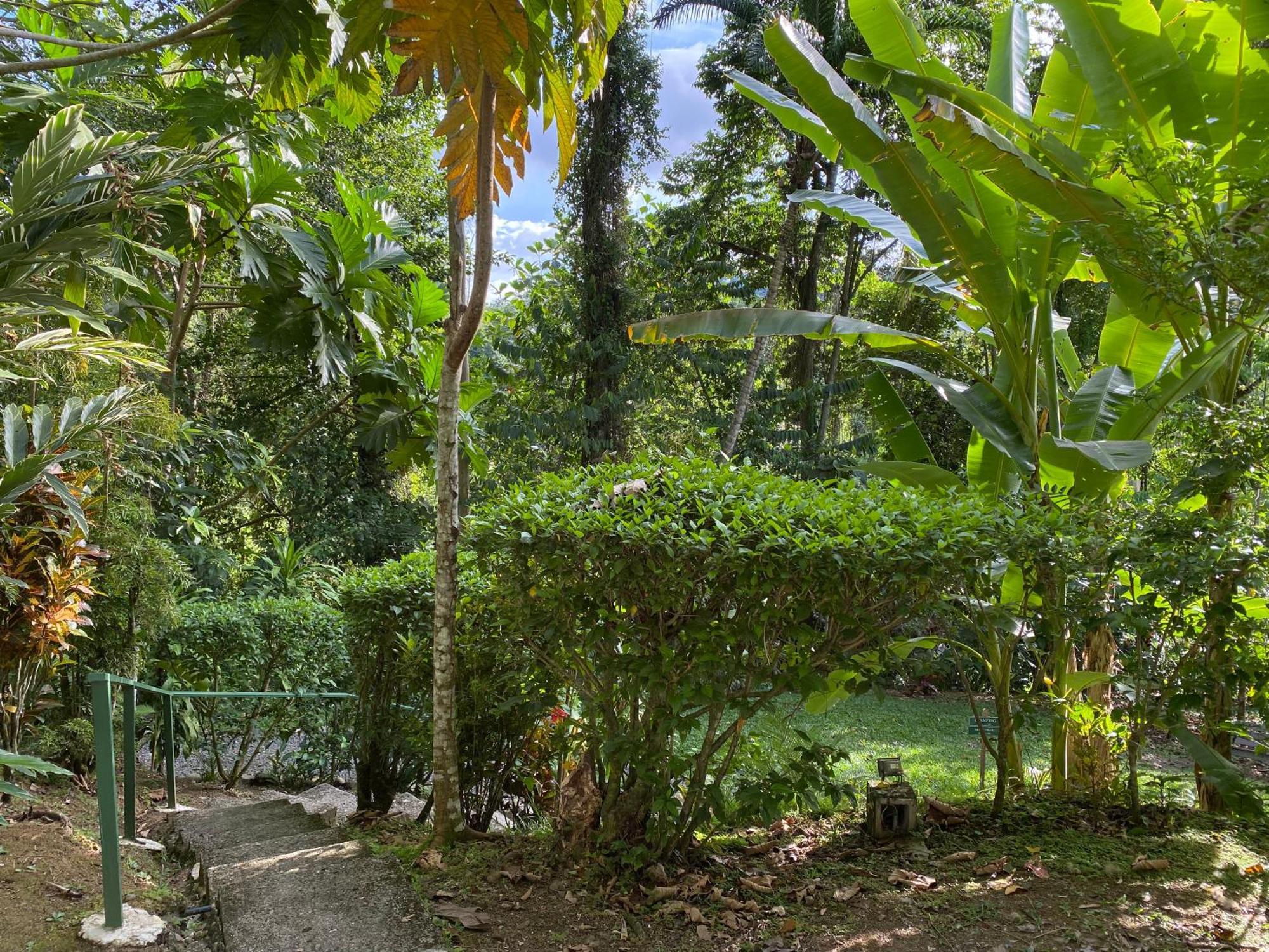Colina Secreta - Glamping And Villas Puerto Viejo de Talamanca Buitenkant foto